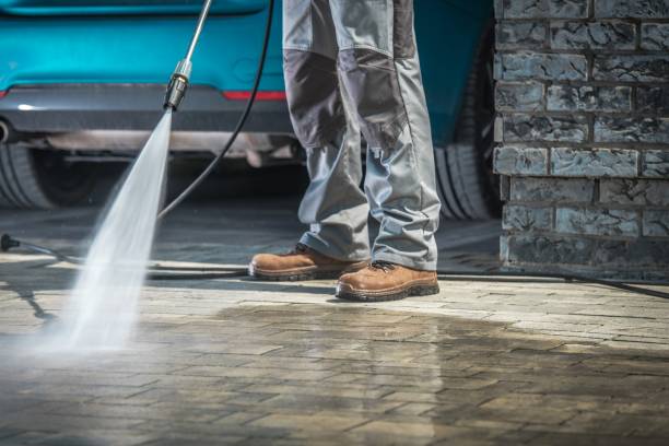 Best Gutter Cleaning and Brightening in Viroqua, WI