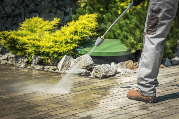Best Parking Lot Cleaning in Viroqua, WI
