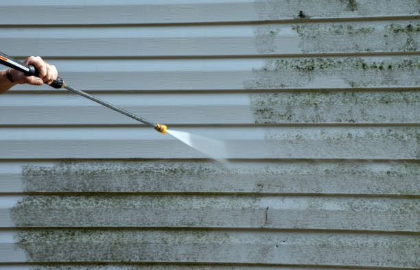 Best Window and Screen Pressure Cleaning in Viroqua, WI